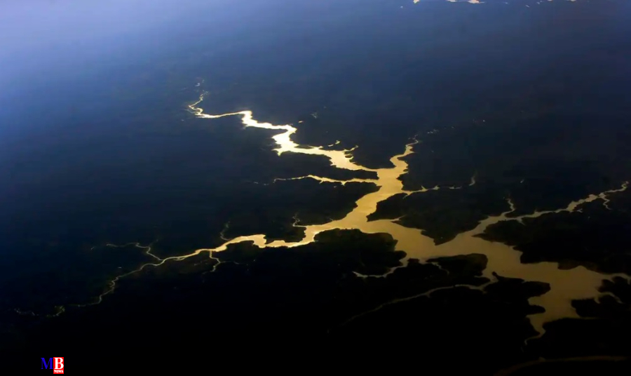 Fundo Amazônia completa 17 anos com novos investimentos