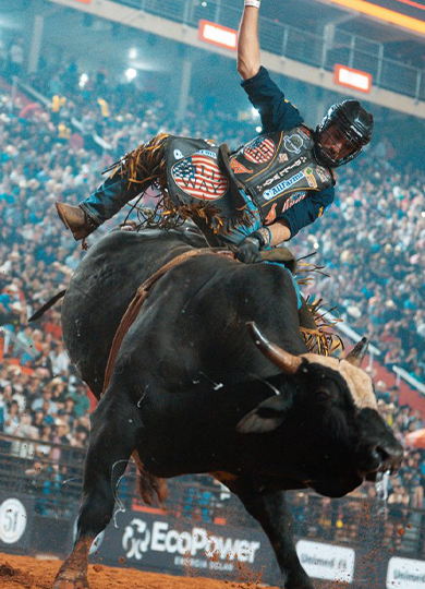 Navegue pela Categoria de RODEIOS